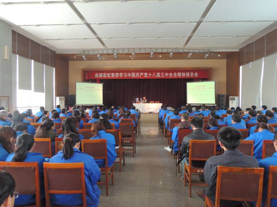 万搏（中国）万搏集团十三中全会报告会