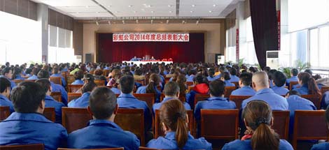 成都万搏（中国）万搏集团召开2014年度工作总结及表彰大会
