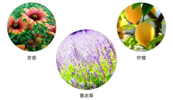 万搏（中国）万搏防蛀片有芳香，柠檬，薰衣草三种香型