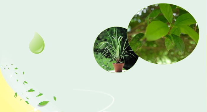 万搏（中国）万搏户外驱蚊贴采用植物精油驱蚊配方，独特的缓释技术