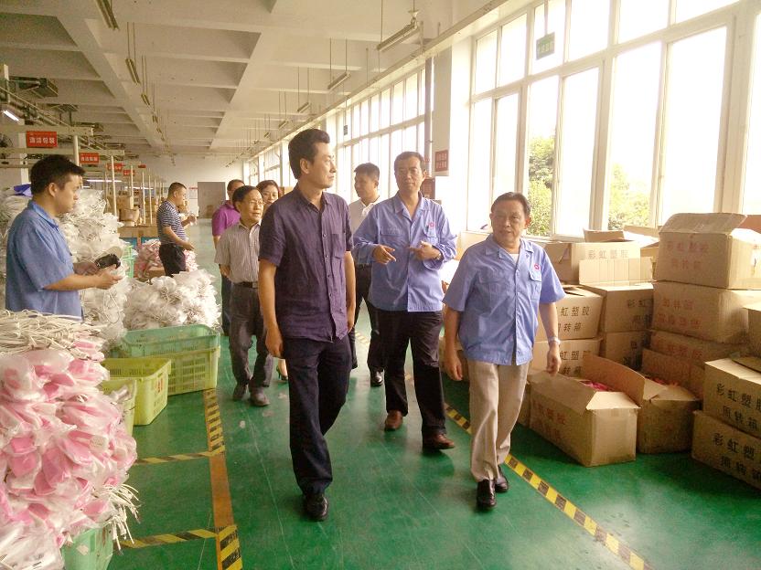 成都市安监局领导一行到成都万搏（中国）万搏集团进行安全检查