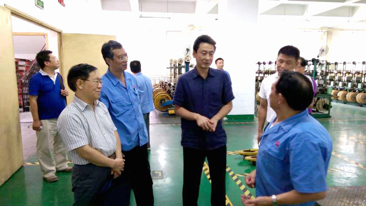 成都市安监局领导一行到成都万搏（中国）万搏集团进行安全检查