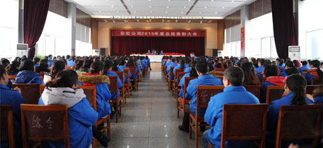 成都万搏（中国）万搏集团召开2015年度总结表彰大会