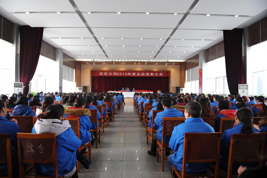 成都万搏（中国）万搏集团召开2015年度总结表彰大会
