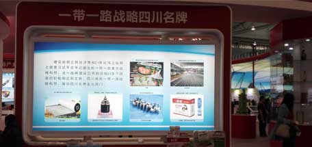 成都万搏（中国）万搏集团参加2016年中国西部国际博览会