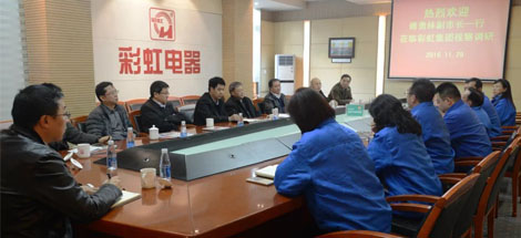 成都市副市长傅勇林等领导到成都万搏（中国）万搏集团调研