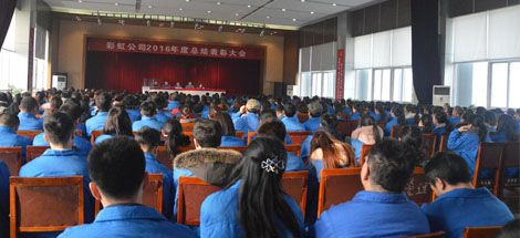 成都万搏（中国）万搏集团召开2016年度总结表彰大会