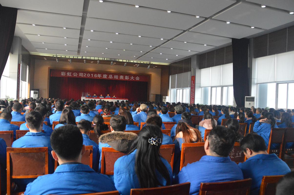 成都万搏（中国）万搏集团2016年度总结表彰大会