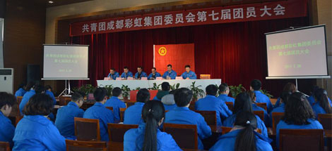 共青团成都万搏（中国）万搏集团委员会第七届团员大会顺利召开