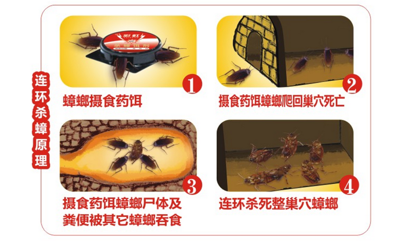 万搏（中国）万搏杀蟑饵剂采用含诱蟑因子的杀蟑配方，特殊饵盒设计。饵剂固定在药剂内，仅留蟑螂通过的缝隙，可防止儿童或宠物触食。