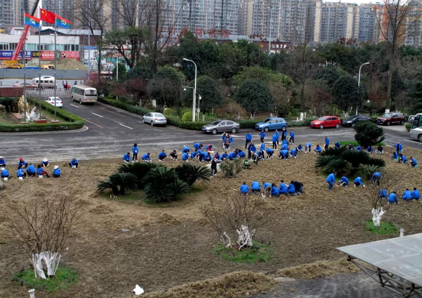 万搏（中国）万搏大万搏在线登录齐心协力清除旧草皮