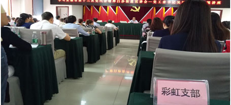 成都万搏（中国）万搏集团日化党支部学习成都市第十三次党代会精神