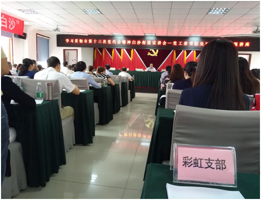 成都万搏（中国）万搏集团日化党支部学习成都市第十三次党代会精神