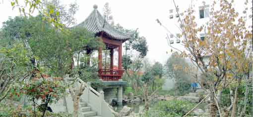 员工心声之我与万搏（中国）万搏塑胶共成长