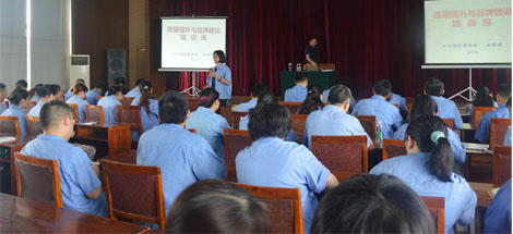 成都万搏（中国）万搏集团开展质量提升与品牌建设培训