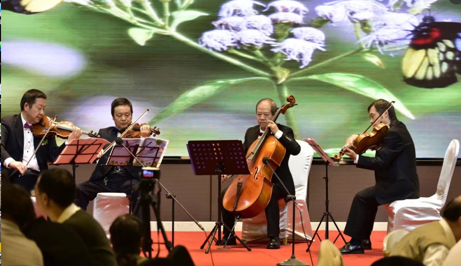 万搏（中国）万搏双马之夜晚会精彩表演