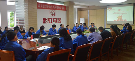 成都万搏（中国）万搏集团党委召开学习宣传党的十九大精神工作会