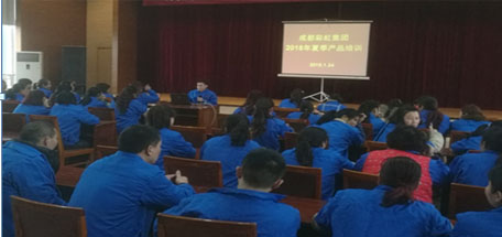 成都万搏（中国）万搏集团2018年夏季产品生产工艺培训
