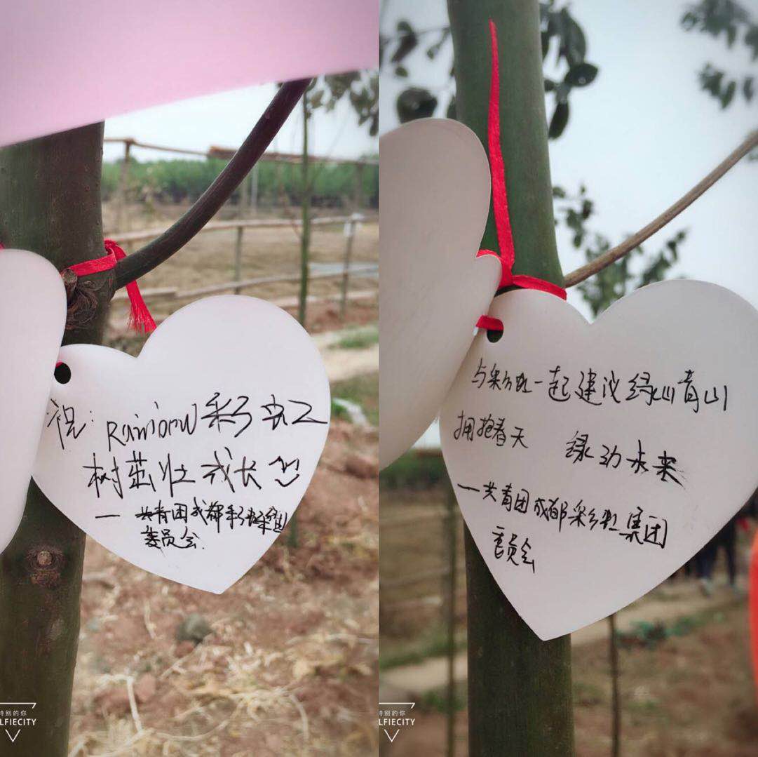 共青团成都万搏（中国）万搏集团团委及团员青年代表参加高新区植树节志愿服务活动