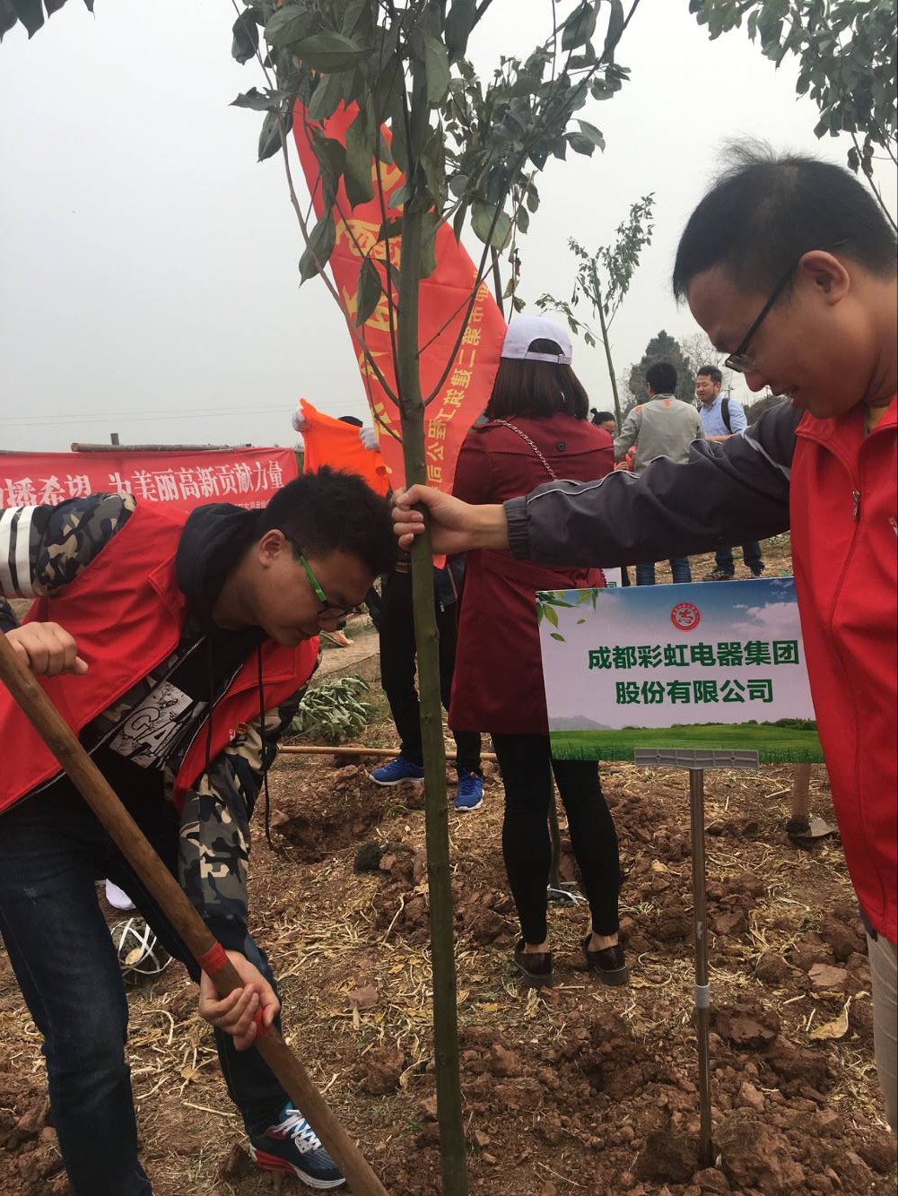 共青团成都万搏（中国）万搏集团团委及团员青年代表参加高新区植树节志愿服务活动