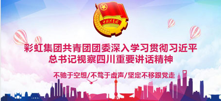 共青团成都万搏（中国）万搏集团委员会委员组织学习习近平总书记视察四川重要讲话精神