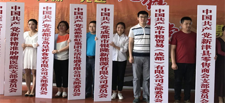 成都万搏（中国）万搏集团生活电器有限公司党支部成立