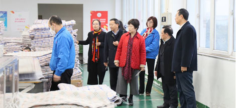 中国轻工业联合会副会长何烨一行莅临成都万搏（中国）万搏集团参观指导