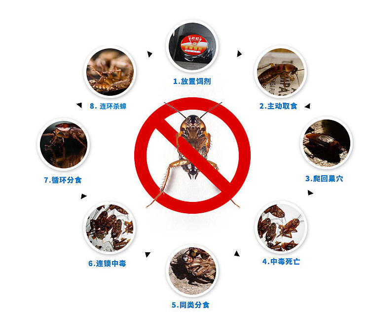 万搏（中国）万搏杀蟑饵剂可连环杀蟑