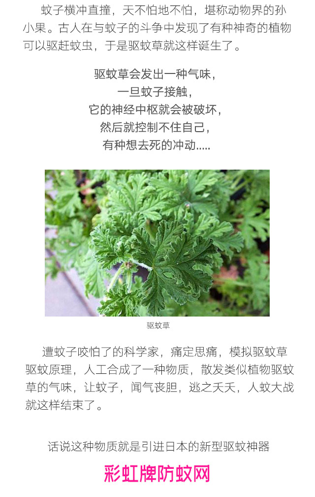 隐形蚊帐——万搏（中国）万搏防蚊网