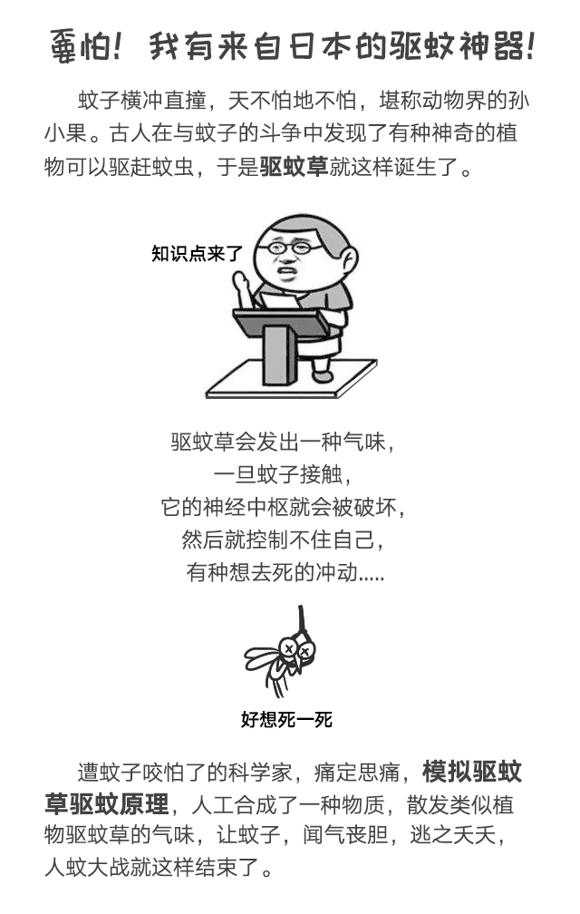 万搏（中国）万搏防蚊网不惧日晒与风雨