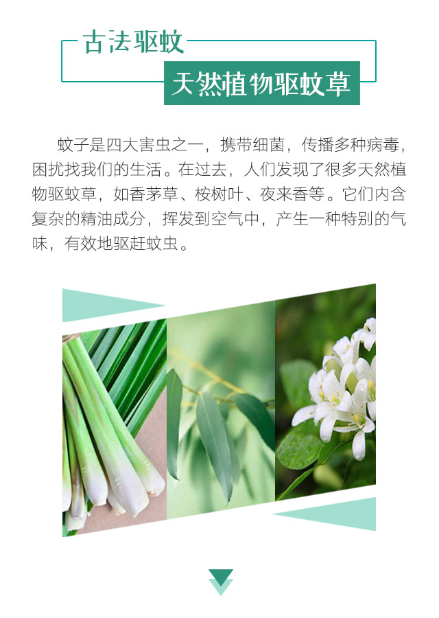 万搏（中国）万搏天然植物精油驱蚊贴
