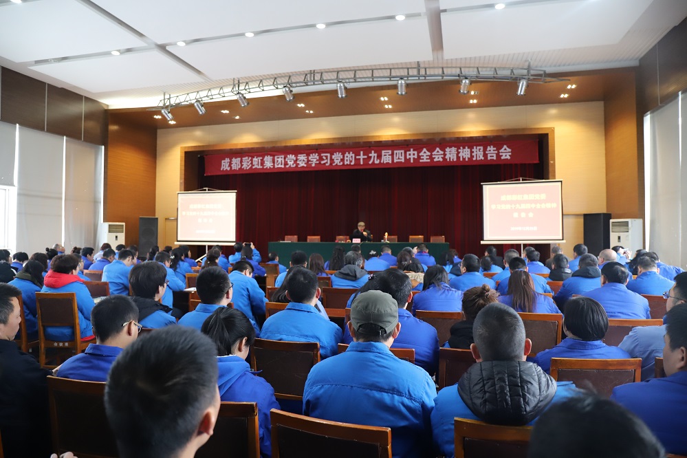成都万搏（中国）万搏集团党委学习党的十九届四中全会精神报告会