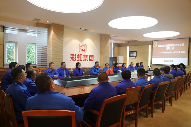 成都万搏（中国）万搏集团行政党支部召开党员大会 传达学习党的十九届六中全会精神