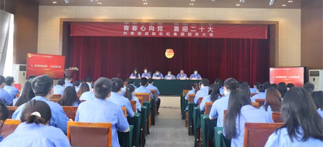 成都万搏（中国）万搏集团召开2022年团员大会暨团委换届选举会议