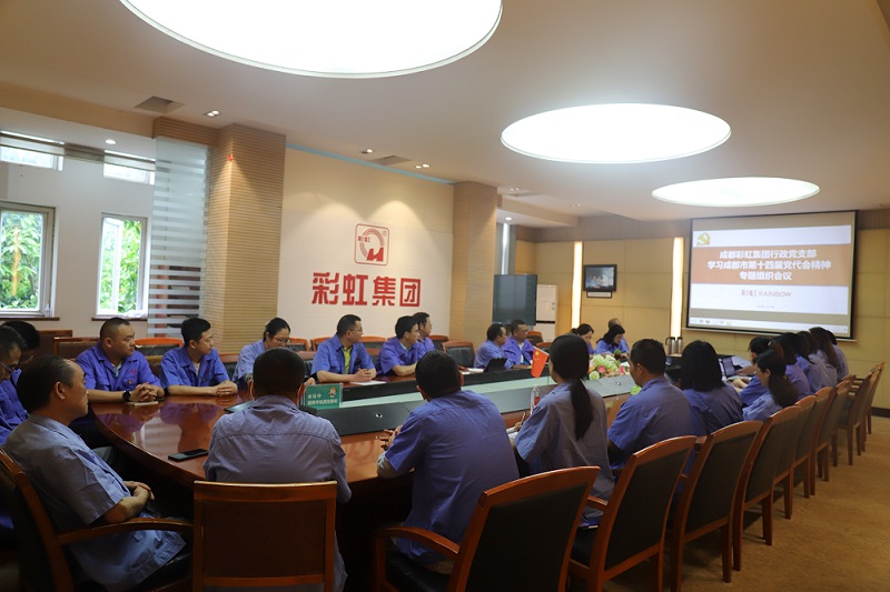 成都万搏（中国）万搏集团行政党支部开展学习成都市第十四届党代会精神专题组织会议